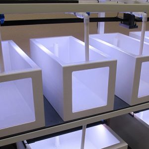 Insulated Plastic Tanks